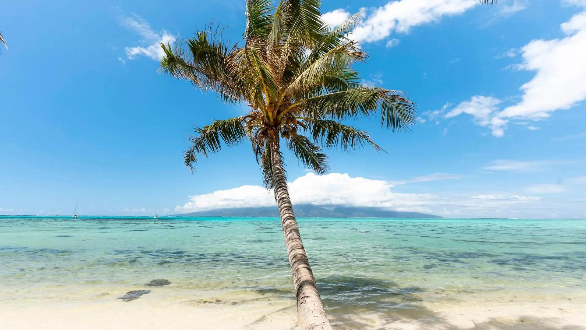 Fare Mehiata 3, Free Canoe Afareaitu Polynésie française