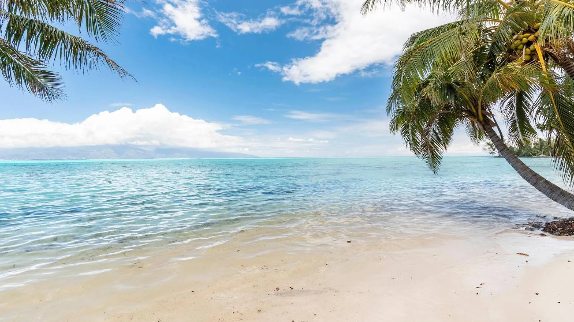 Fare Mehiata 3, Free Canoe Afareaitu